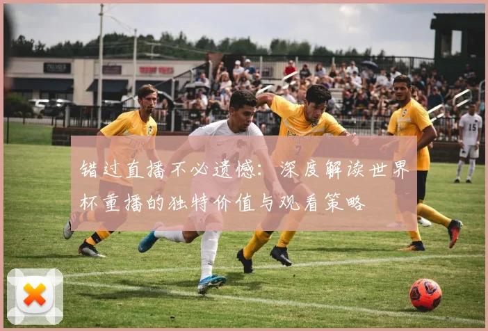 错过直播不必遗憾：深度解读世界杯重播的独特价值与观看策略